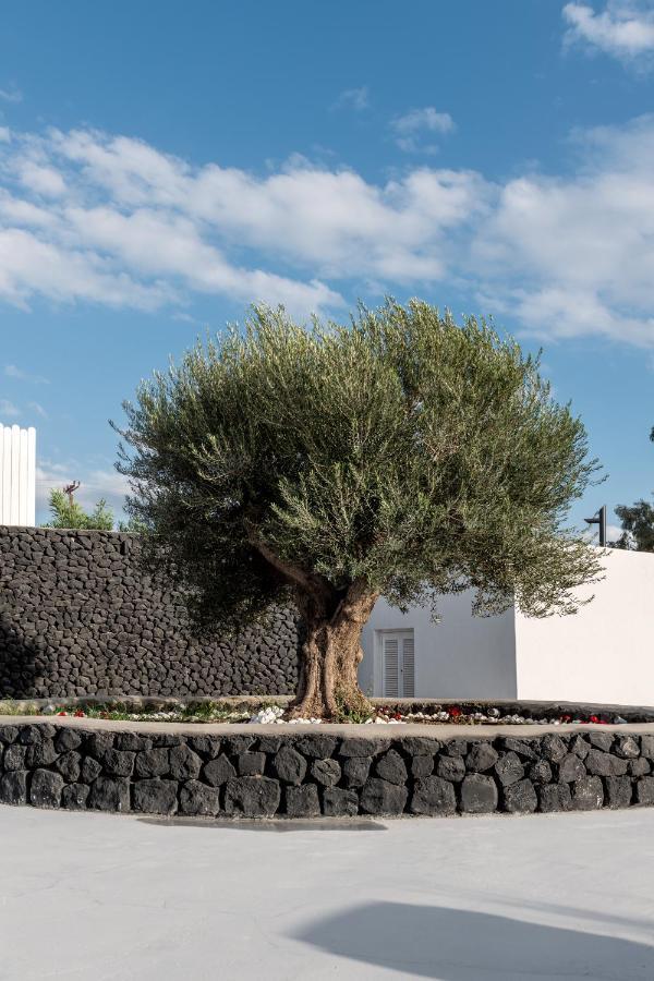 Santa Irina Luxury Sunny Lofts Hotel Perivolos  Luaran gambar